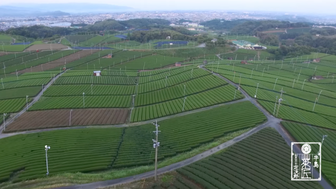Ushijima Seicha PV Yame's tea plantation scenery that we want to preserve for the future