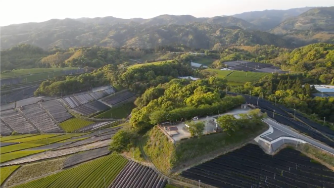 2021 Japanese tea marathon Fukuoka Yame tea PR video [Ushijima Seicha]